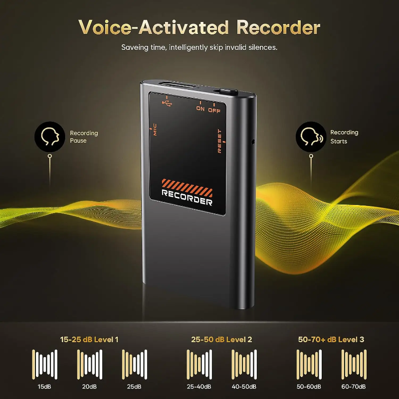 Digital Voice Recorder with Noise Reduction